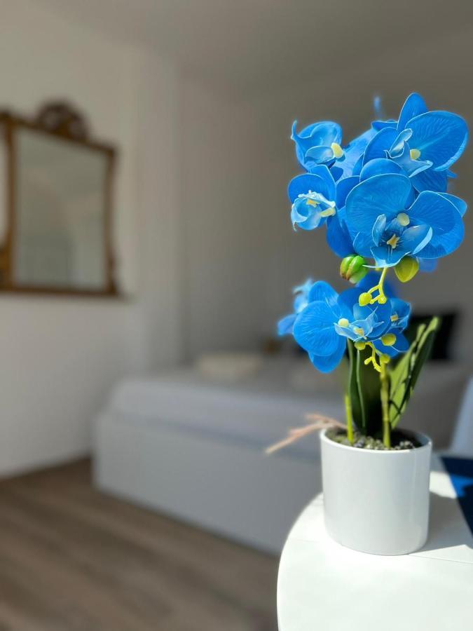 Fior Di Loto Suite - Lingotto Turin Bagian luar foto